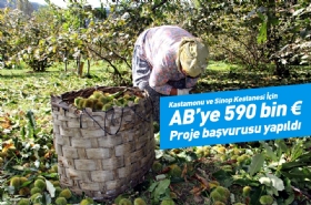 Kastamonu ve Sinop Kestanesi Ýçin AB Projesi Kastamonu ve Sinop Kestanesi Ýçin AB Projesi