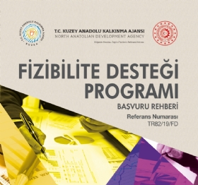 Fizibilite Desteði Programý Fizibilite Desteði Programý