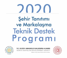 2020 Yl ehir Tantm Ve Markalama Teknik Destek Program lan