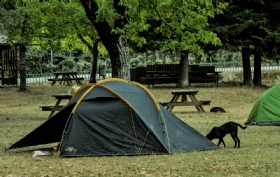 Kamp Alanlar ve Trekking Rotalar Belirleme almas