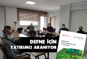 Defne in Yatrmc Aranyor