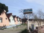 Abana, atalzeytin Ve Trkelide le Analizi Toplantlar Yapld