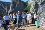 Kuzka, Kastamonu Tantm Turu, Meyvelerini Vermeye Balad
