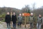 Kre Dalar Milli Park Lo Vadisi Seyir Teras 