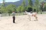 Engelli ve Yallar, Atlarla Yaplan Terapi ile ifa Bulacak