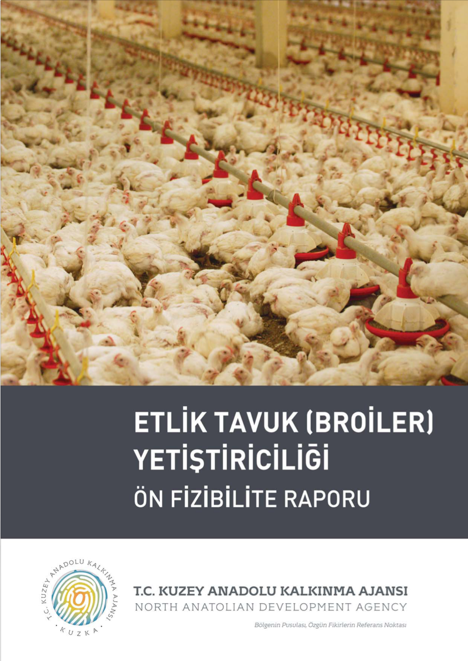 Kmes Hayvanlar (broiler) Yetitiricilii n Fizibilite Raporu