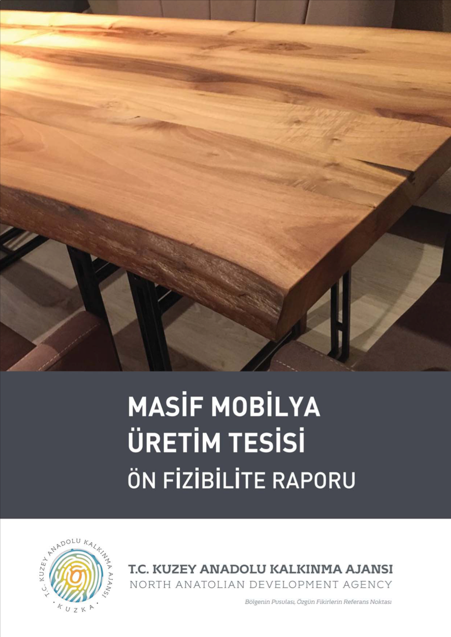 Masif Mobilya retim Tesisi n Fizibilite Raporu