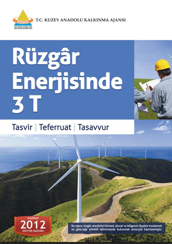 2012 Yılı Sektörel Raporlar ve Analizler